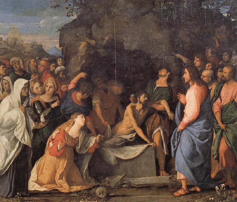 Palma Vecchio The Raising of Lazarus oil painting picture